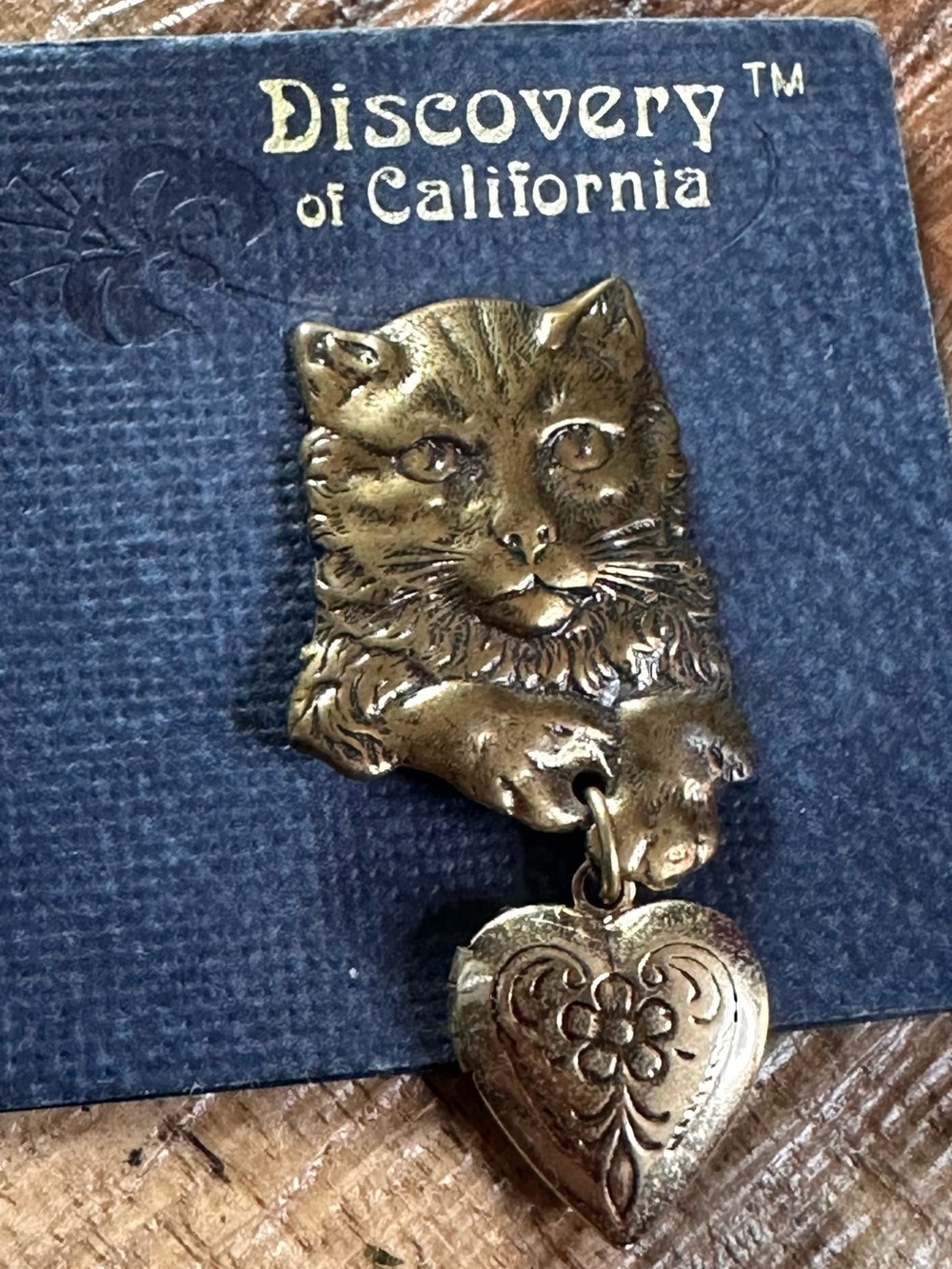 Vintage Discovery of California Cat Heart Locket Brooch